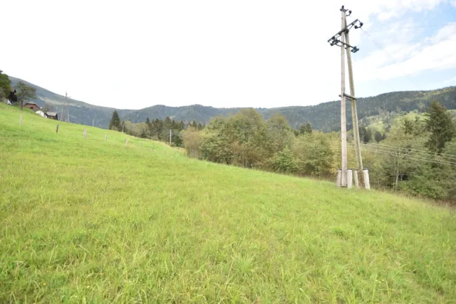 Landwirtschaftlich genutztes Grünland Kauf Arriach Kärnten