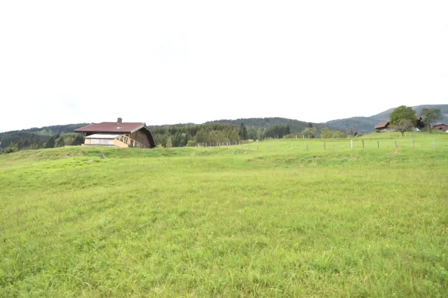 Landwirtschaftlich genutztes Grünland Kauf Arriach Kärnten
