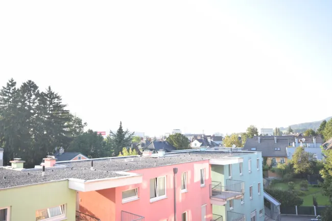 Ausblick