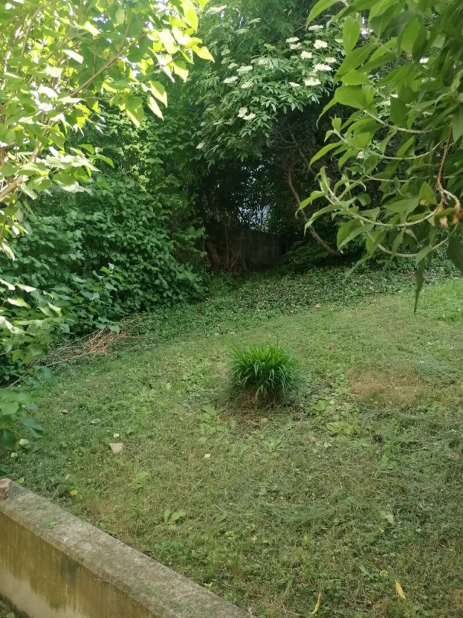 Gartenseitige 2 Zimmerwohnung mit kleiner Terrasse in Sievering! - Titelbild