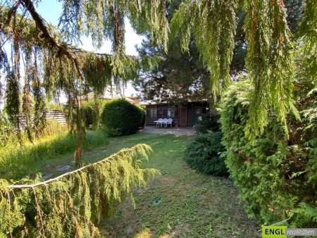 Nähe Alte Donau - Kleingartenidylle mit Ferienhaus mit Potential (ganzjähriges Wohnen)