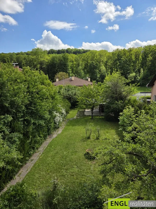 Wohnen im Grünen – nur wenige Minuten vor den Toren Wiens - Bild
