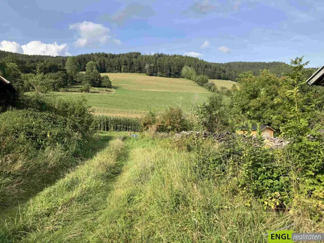 Grünland-Bauland