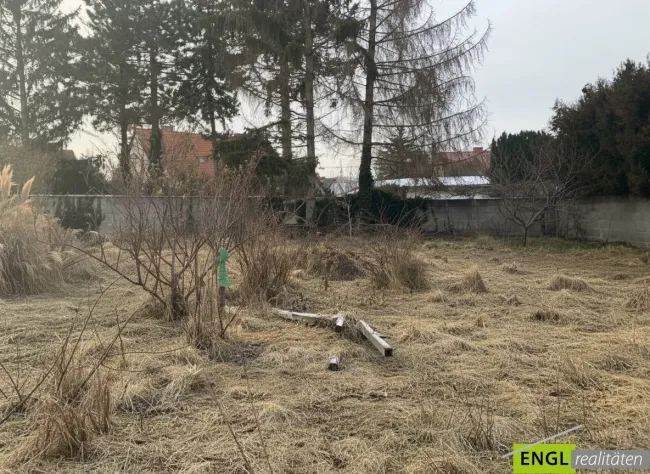 Gartenbereich
