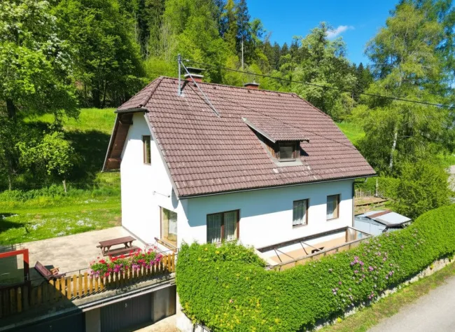 Luftbild Haus von vorn