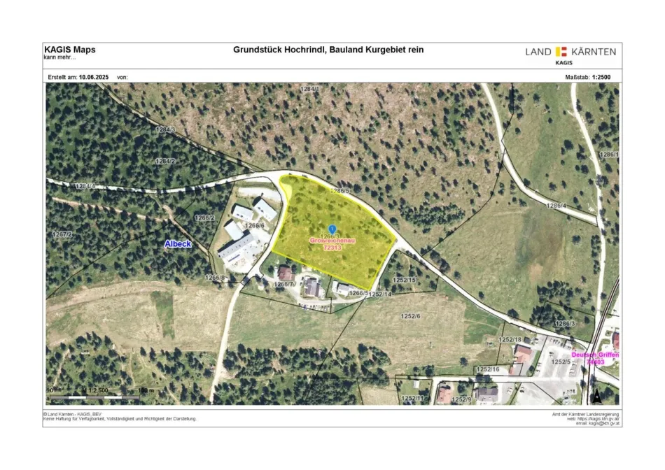Attraktives 10.323 m² Baugrundstück direkt an der PISTE (Widmung: Bauland/Kurgebiet rein) - Titelbild