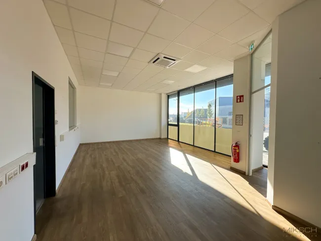 Moderne Betriebsfläche I 280m² I in St. Pölten I Parkplatz I neben S33 - Titelbild