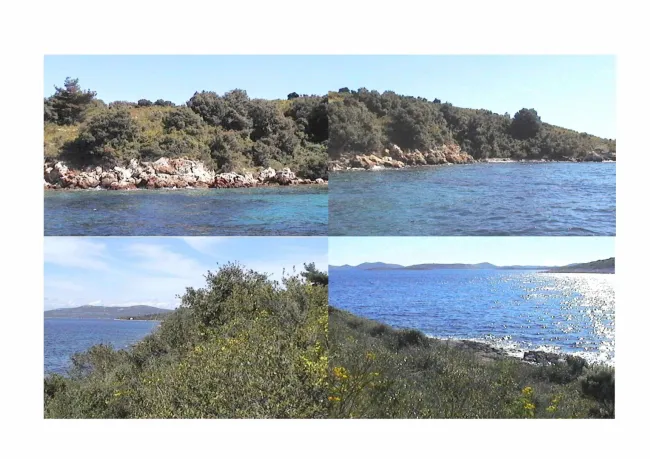 Insel Brušnjak Kroatien