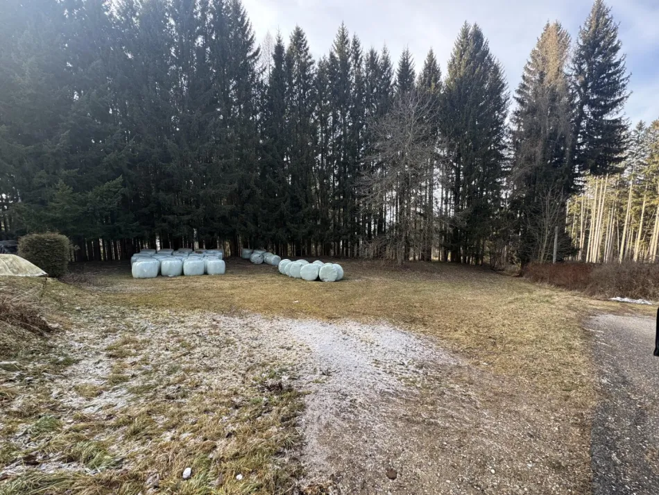 Baugrund