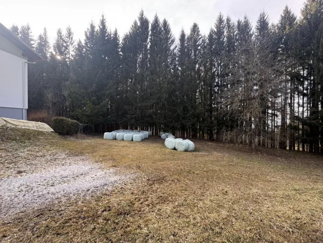 Baugrund