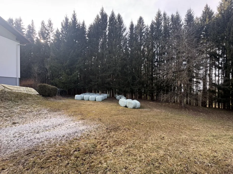 Baugrund