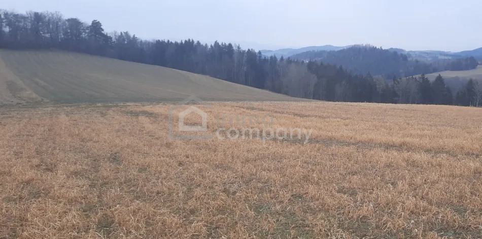 Landwirtschaftliche Nutzfläche in Wiesmath - Titelbild