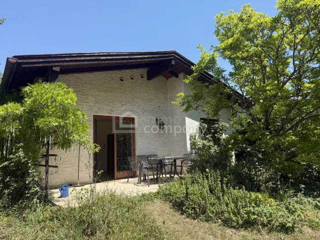 Wenn Größe auf Potenzial trifft: 1.884 m² in begehrter Wohnlage von Bad Fischau - Bild