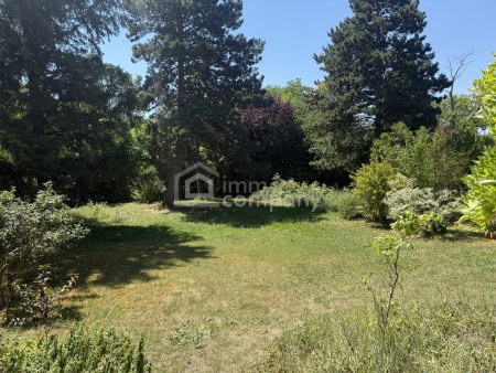 Wenn Größe auf Potenzial trifft: 1.884 m² in begehrter Wohnlage von Bad Fischau