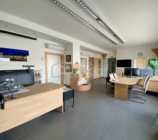 Büro / Geschäftslokal + Stellplatz in 2540 Bad Vöslau - Titelbild