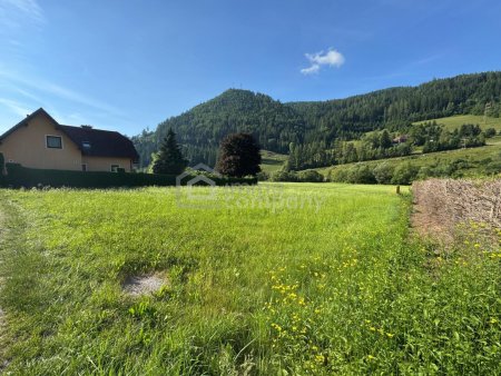 Baugrundstück mit Bergpanorama in St. Kathrein an der Laming – 1.070 m²