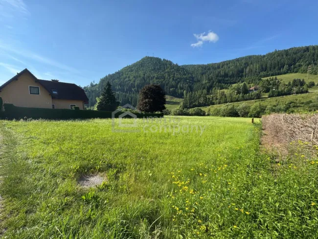 Baugrundstück mit Bergpanorama in St. Kathrein an der Laming – 1.070 m² - Bild