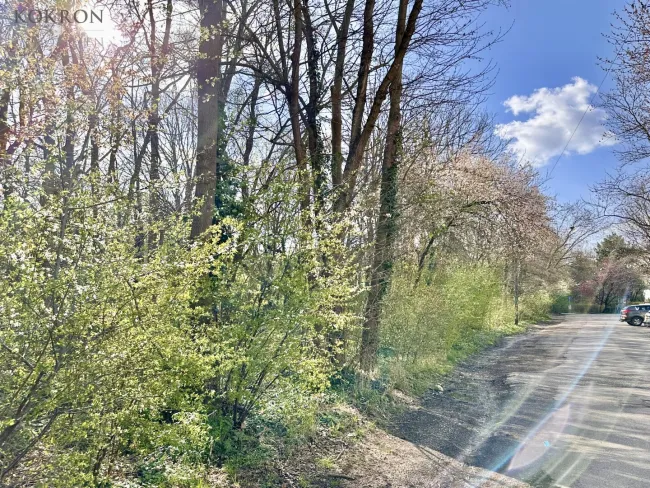 Der Rote Berg vor der Haustüre