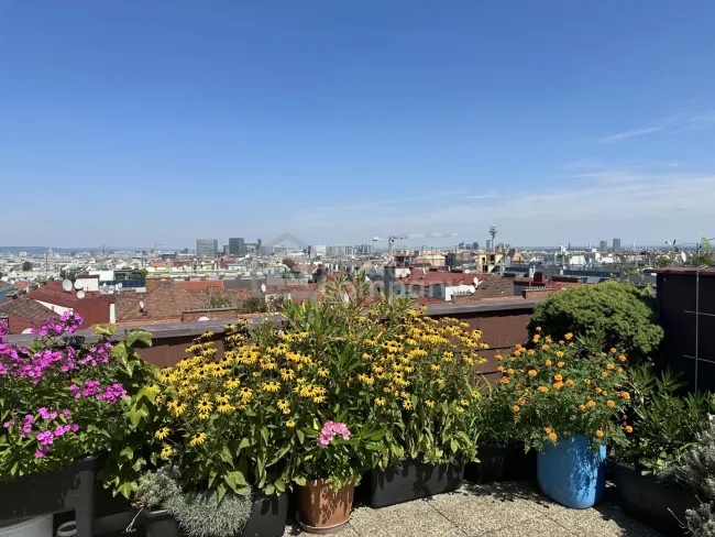 Blick von Terrasse