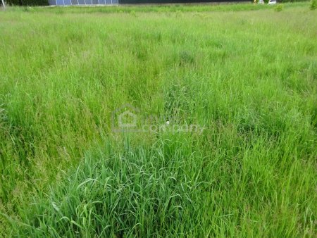 Baugrundstück in 3830 Waidhofen an der Thaya mit 1.312 m²!