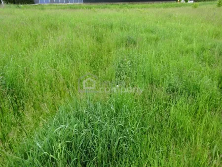 Baugrundstück in 3830 Waidhofen an der Thaya mit 1.312 m²!