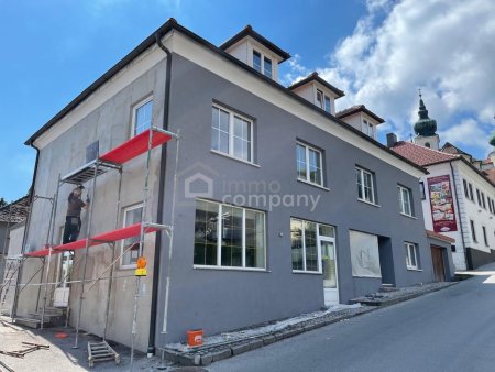 Großes Mehrfamilienhaus in Artstetten, 17 Zimmer, Garten, Garagen, Top Ausstattung!