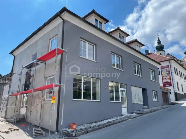 Großes Mehrfamilienhaus in Artstetten, 17 Zimmer, Garten, Garagen, Top Ausstattung! - Titelbild