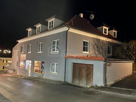 Großes Mehrfamilienhaus in Artstetten, 17 Zimmer, Garten, Garagen, Top Ausstattung!
