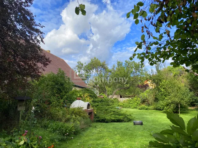 Gartengrill-Pizzaofen