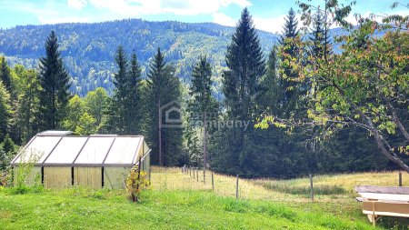 Preisreduktion! Ca. 11.000 m² großes Anwesen direkt am Waldrand mit Panoramablick - fast wie Alleinlage!