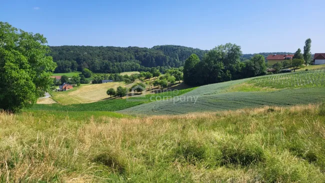 Sonniges Grundstück in Kirchberg an der Raab mit herrlicher Aussicht - Titelbild