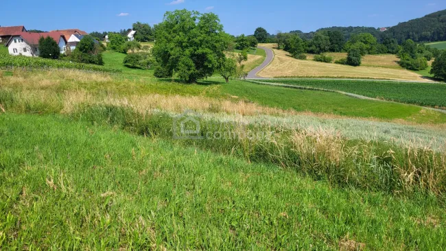 Sonniges Grundstück in Kirchberg an der Raab mit herrlicher Aussicht - Bild