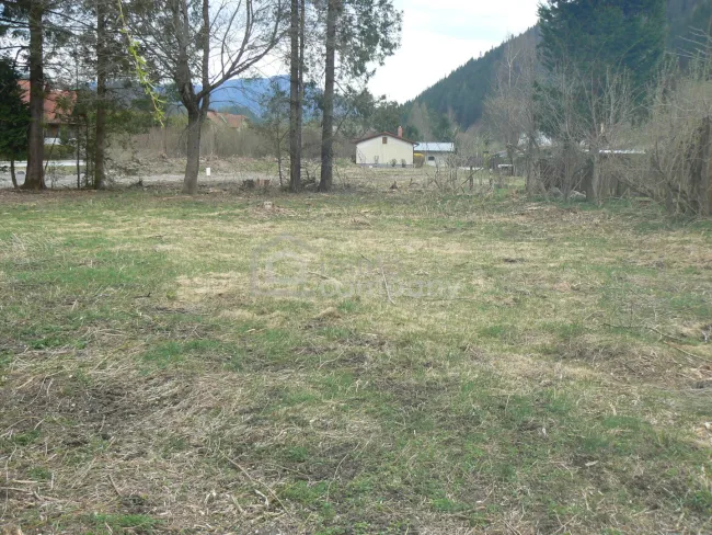 Traumhaftes Baugrundstück in Neuberg an der Mürz: 883m² für Ihr Eigenheim! - Titelbild