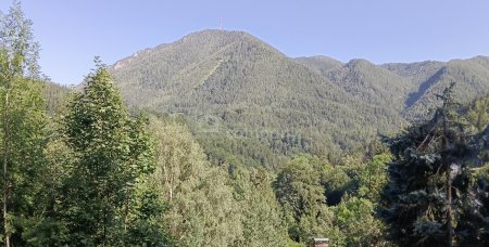 Ihr Grundstück in Hanglage mit absolutem Grünblick