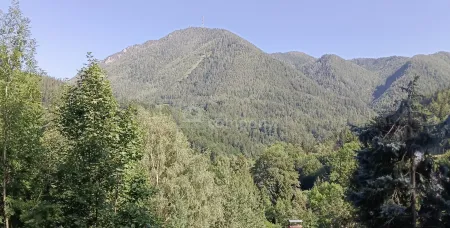 Ihr Grundstück in Hanglage mit absolutem Grünblick