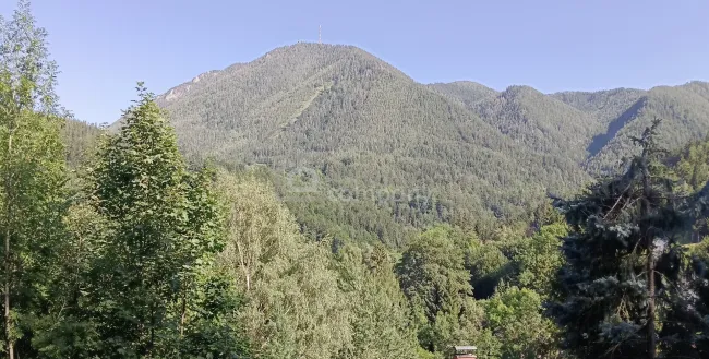 Ihr Grundstück in Hanglage mit absolutem Grünblick - Titelbild