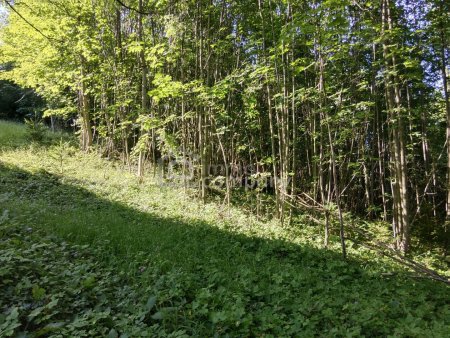 Ihr Grundstück in Hanglage mit absolutem Grünblick