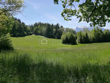 Einzigartige Landschaftsperle auf 1010m Seehöhe mit traumhaftem Berg- und Fernblick I 12ha I Salzburg Süd