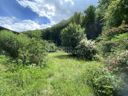 Sonniges Grundstück mit Teilungsoption und Altbestand in Weidlingbach