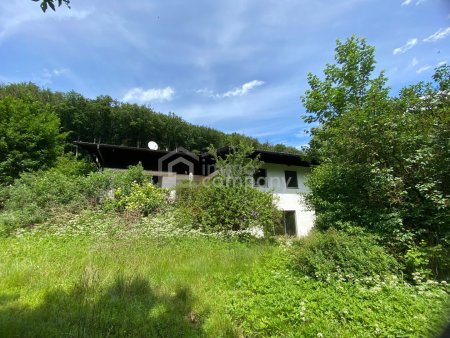Sonniges Grundstück mit Teilungsoption und Altbestand in Weidlingbach