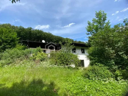 Sonniges Grundstück mit Teilungsoption und Altbestand in Weidlingbach