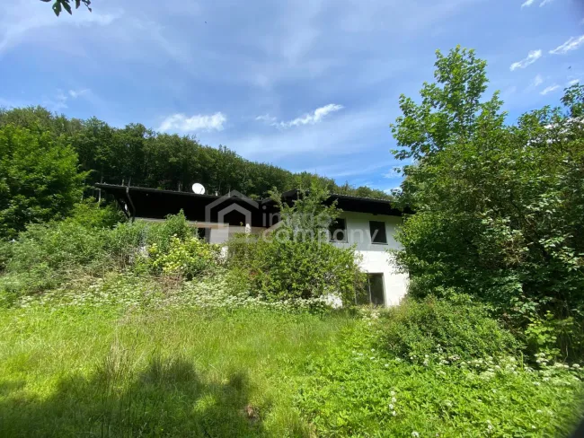 Sonniges Grundstück mit Teilungsoption und Altbestand in Weidlingbach - Bild