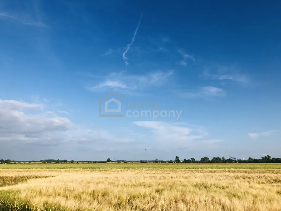 Achtung Preissenkung ! Landwirtschaftliche Nutzfläche - Titelbild