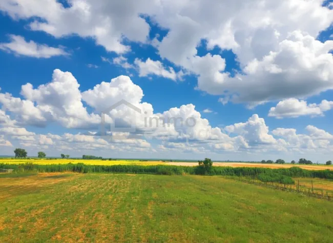 Ertragreiche landwirtschaftliche Nutzfläche - Titelbild