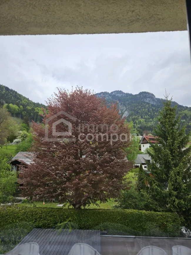 Blick nach Norden
