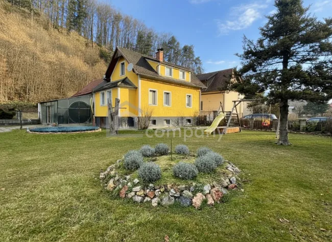 Sommerfoto Garten