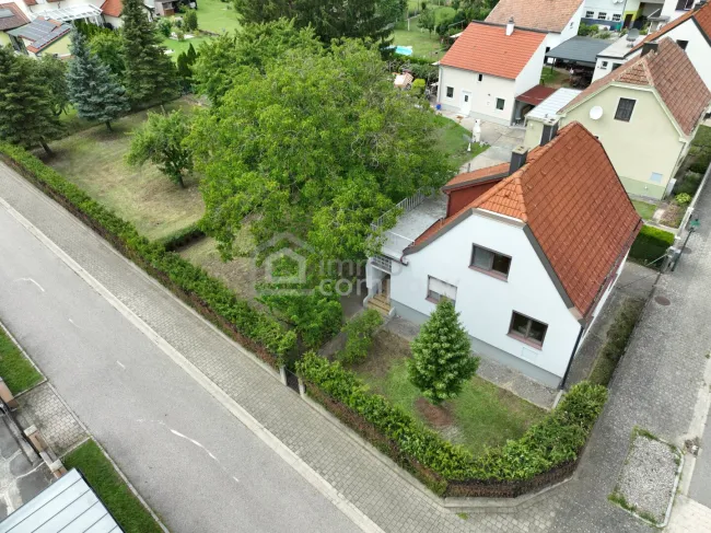 Renovierungsbedürftiges Haus mit Grünblick in Trautmannsdorf/Leitha zu verkaufen! - Titelbild