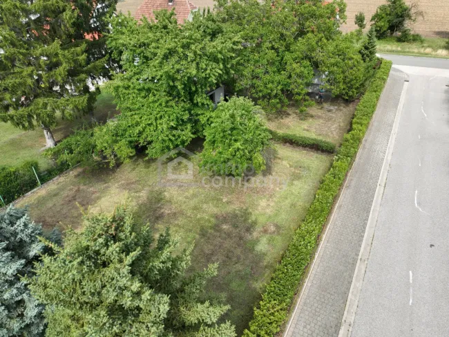 Renovierungsbedürftiges Haus mit Grünblick in Trautmannsdorf/Leitha zu verkaufen! - Bild