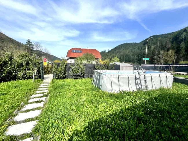 Garten mit Pool