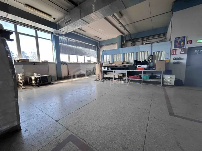Attraktives (Gewerbe-)Lager mit Lastenlift, Büro und Parkplätze (OG, 234qm) - Bild
